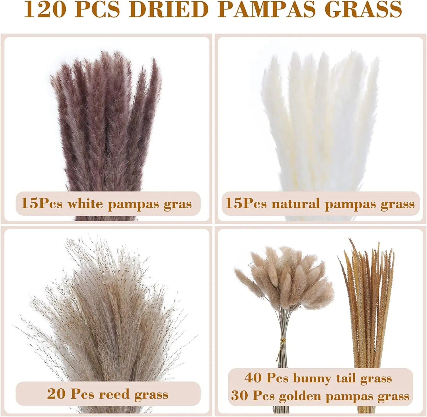 120 units of dried pampas grass for home and vintage decoration