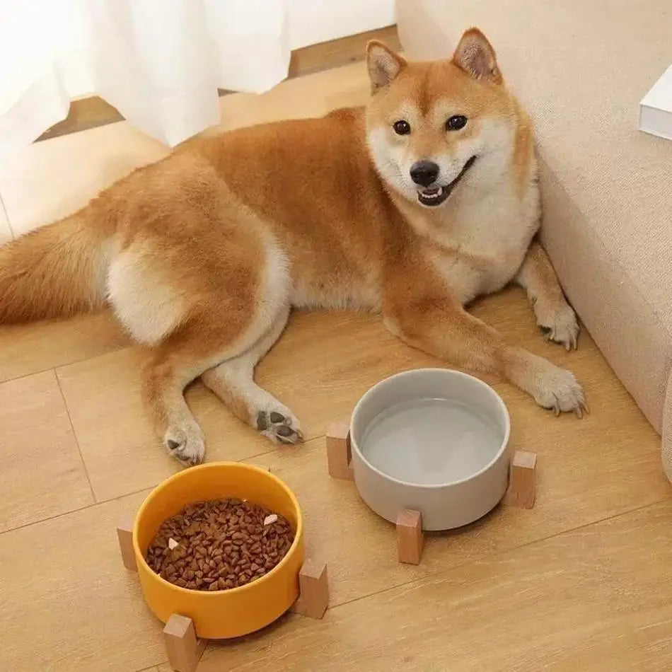 Wooden Bowl with Stand for Pets