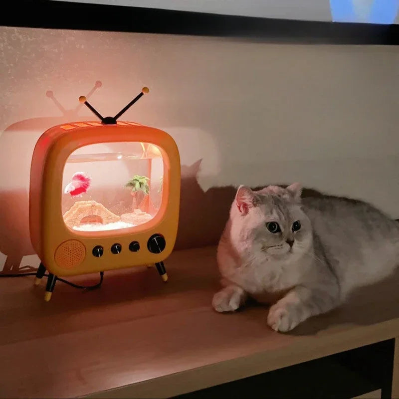 Cute Transparent Retro Tabletop Aquarium