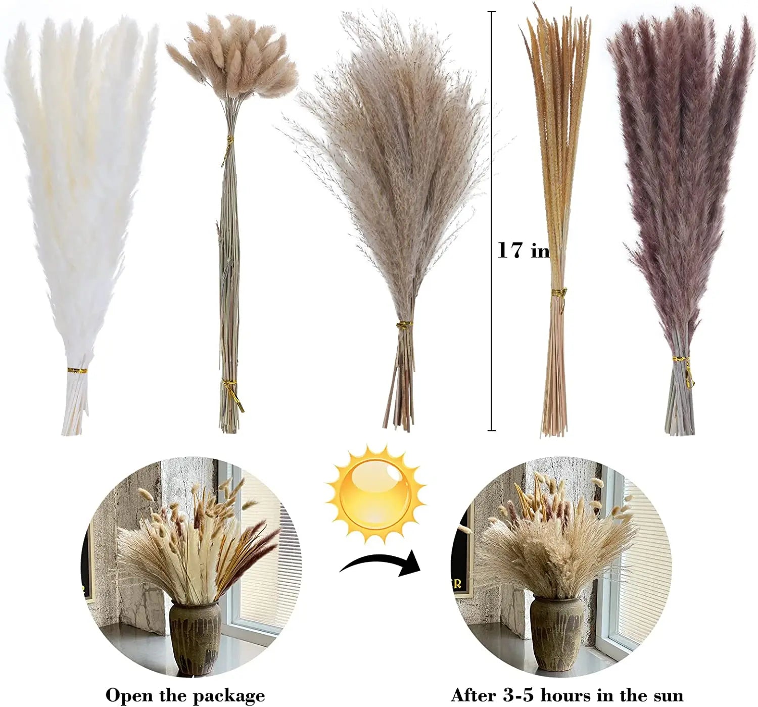 120 units of dried pampas grass for home and vintage decoration