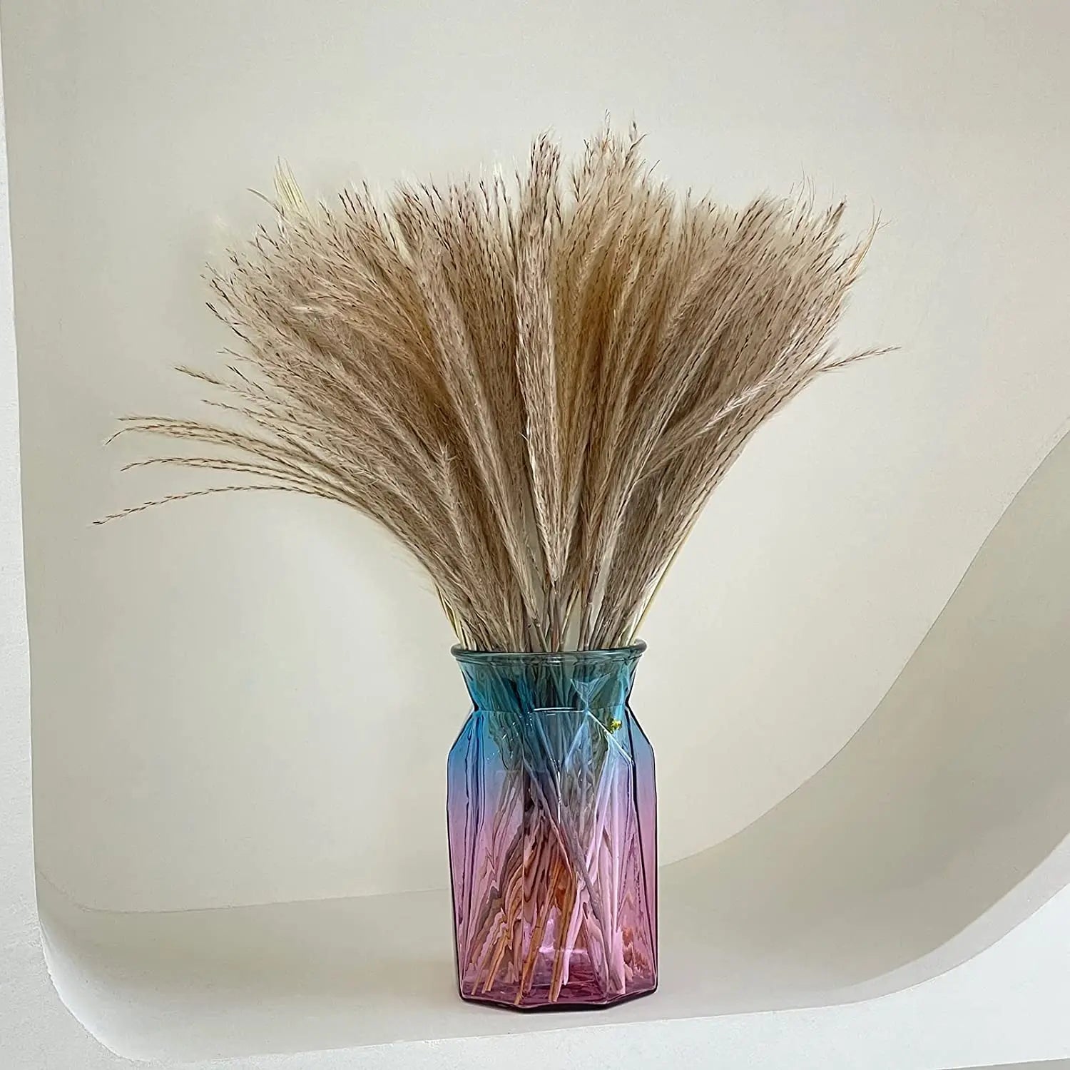 120 units of dried pampas grass for home and vintage decoration
