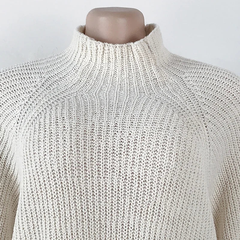 Vintage Long Sleeve Sweater Dress