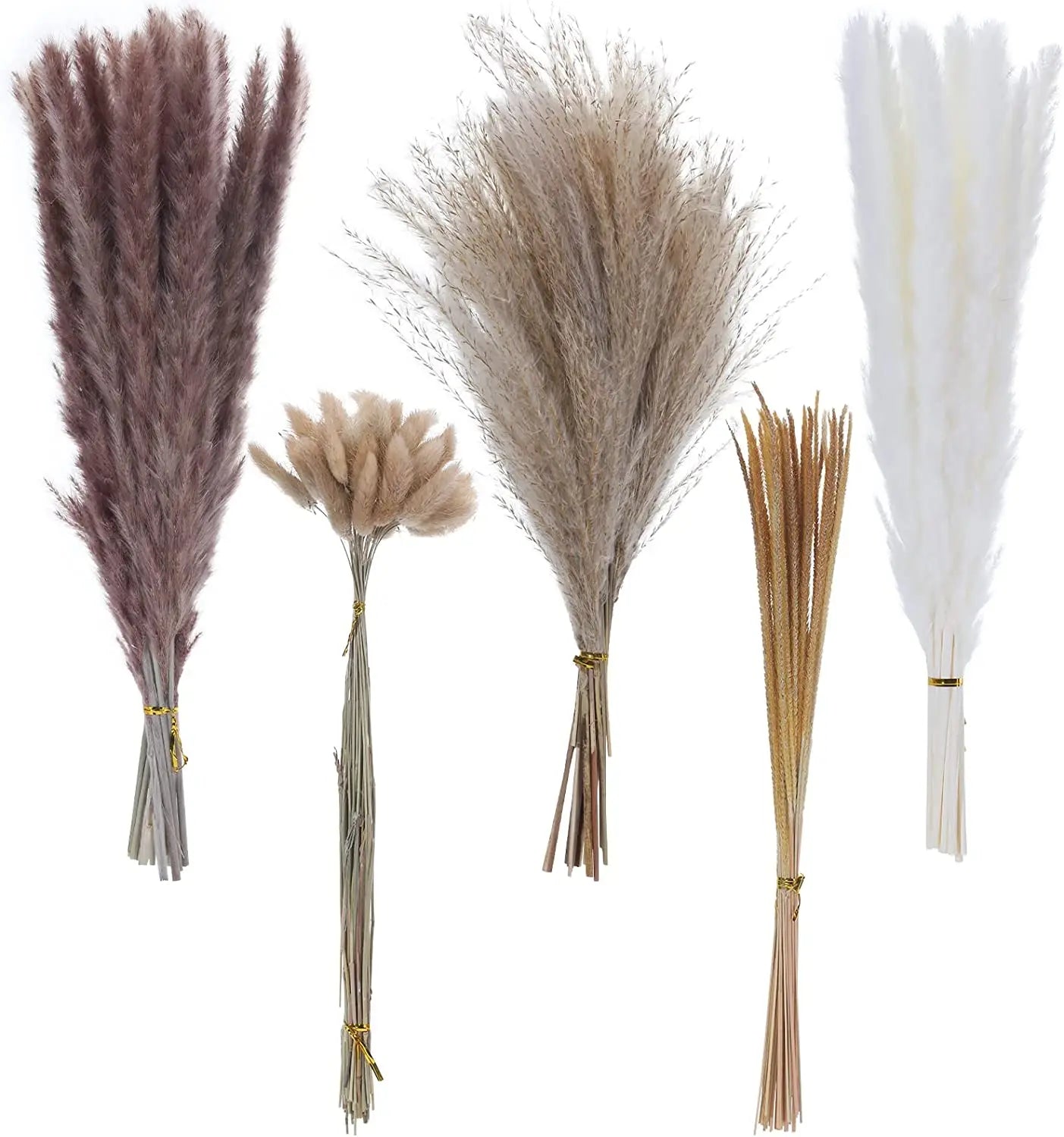 120 units of dried pampas grass for home and vintage decoration